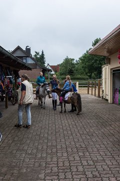 Bild 100 - Reitsport Scheune 30 am 25.6.16
